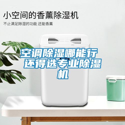 空調除濕哪能行 還得選專業小黄片软件免费下载