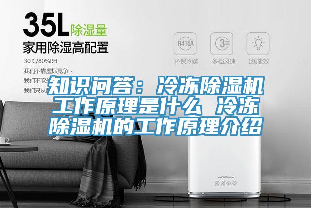 知識問答：冷凍小黄片软件免费下载工作原理是什麽 冷凍小黄片软件免费下载的工作原理介紹