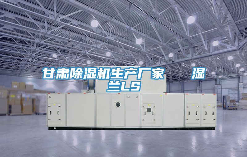 甘肅小黄片软件免费下载生產廠家   濕蘭LS