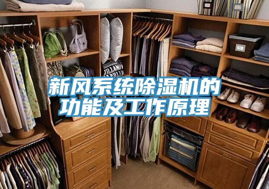 新風係統小黄片软件免费下载的功能及工作原理