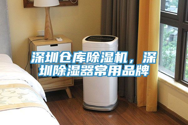 深圳倉庫小黄片软件免费下载，深圳除濕器常用品牌