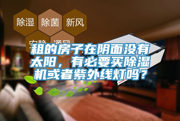 租的房子在陰麵沒有太陽，有必要買小黄片软件免费下载或者紫外線燈嗎？