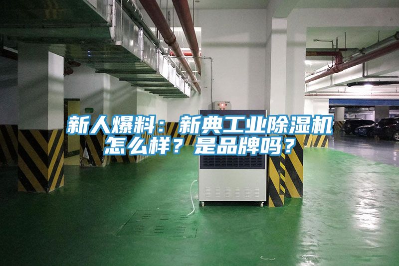 新人爆料：新典工業小黄片软件免费下载怎麽樣？是品牌嗎？