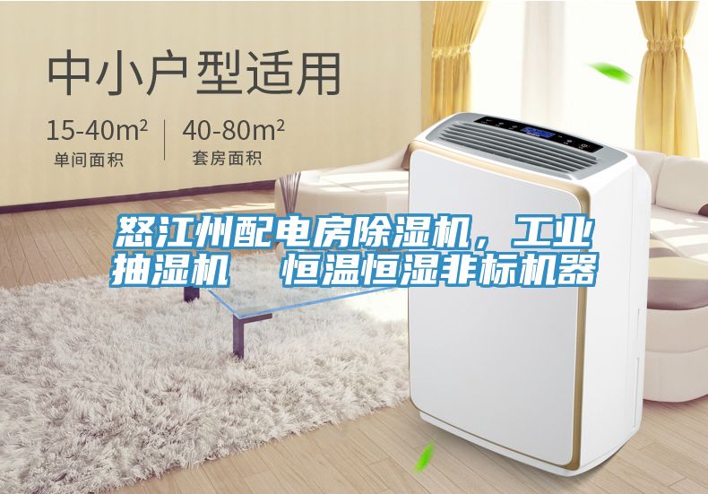 怒江州配電房小黄片软件免费下载，工業抽濕機  恒溫恒濕非標機器