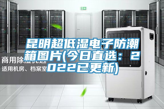 昆明超低濕電子防潮箱圖片(今日直選：2022已更新)