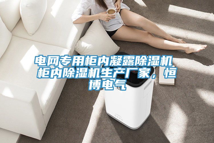 電網專用櫃內凝露小黄片软件免费下载 櫃內小黄片软件免费下载生產廠家，恒博電氣