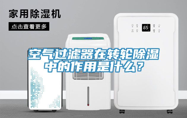 空氣過濾器在轉輪除濕中的作用是什麽？