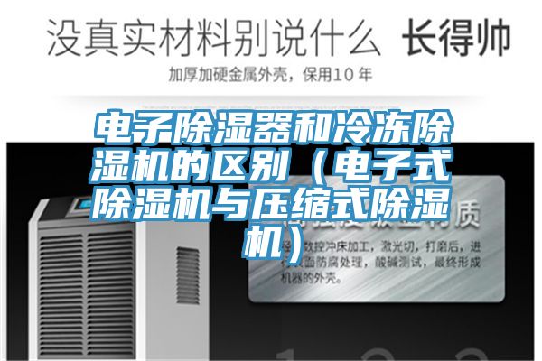 電子除濕器和冷凍小黄片软件免费下载的區別（電子式小黄片软件免费下载與壓縮式小黄片软件免费下载）