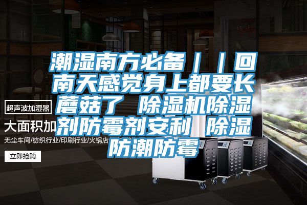 潮濕南方必備｜｜回南天感覺身上都要長蘑菇了 小黄片软件免费下载除濕劑防黴劑安利 除濕防潮防黴