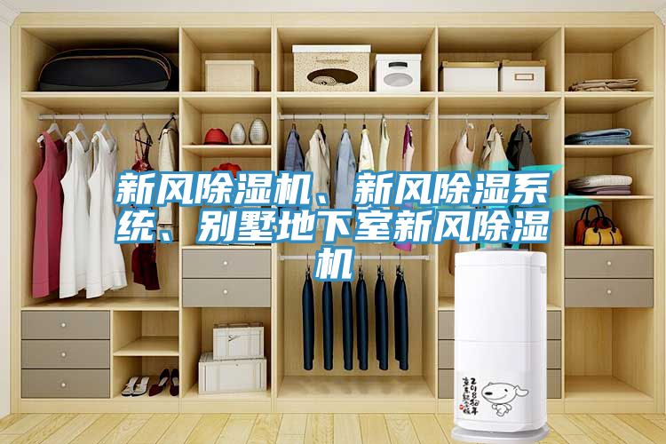 新風小黄片软件免费下载、新風除濕係統、別墅地下室新風小黄片软件免费下载