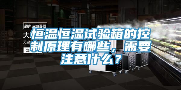 恒溫恒濕試驗箱的控製原理有哪些，需要注意什麽？