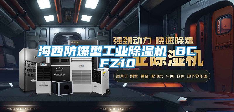 海西防爆型工業小黄片软件免费下载 BCFZ10