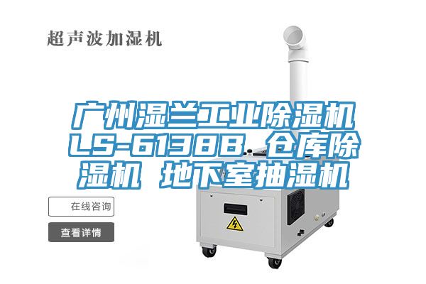 廣州濕蘭工業小黄片软件免费下载LS-6138B 倉庫小黄片软件免费下载 地下室抽濕機