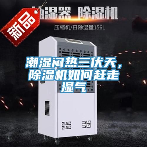 潮濕悶熱三伏天，小黄片软件免费下载如何趕走濕氣