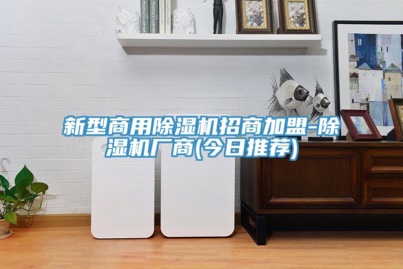 新型商用小黄片软件免费下载招商加盟-小黄片软件免费下载廠商(今日推薦)