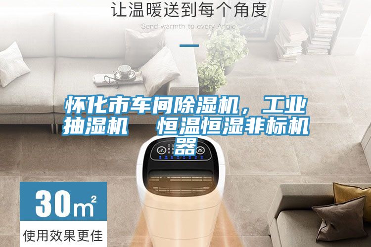 懷化市車間小黄片软件免费下载，工業抽濕機  恒溫恒濕非標機器