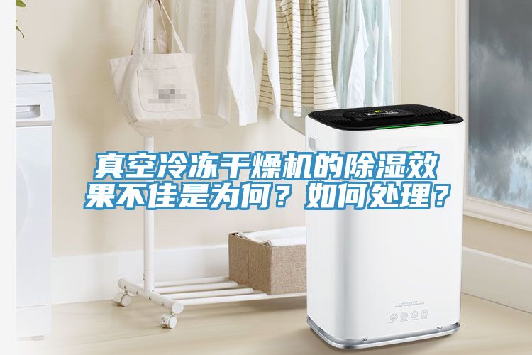 真空冷凍幹燥機的除濕效果不佳是為何？如何處理？