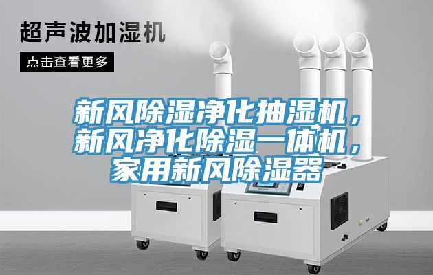 新風除濕淨化抽濕機，新風淨化除濕一體機，家用新風除濕器