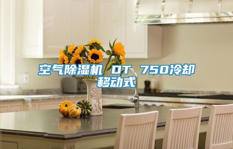 空氣小黄片软件免费下载 DT 750冷卻移動式