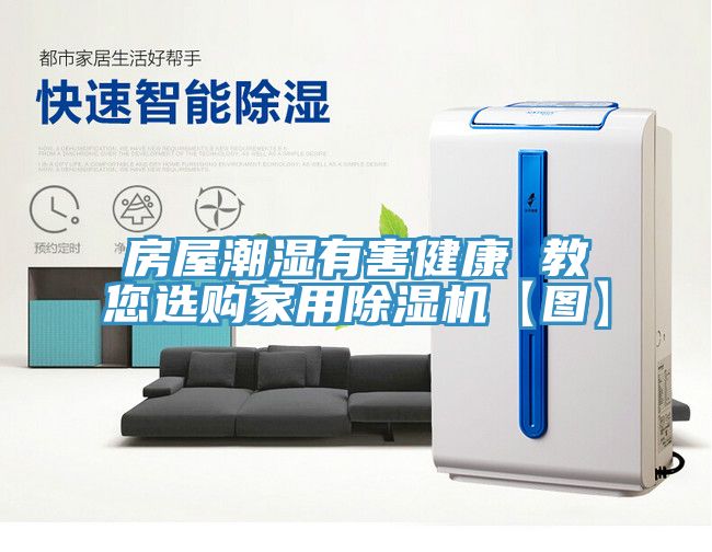 房屋潮濕有害健康 教您選購家用小黄片软件免费下载【圖】
