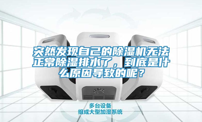 突然發現自己的小黄片软件免费下载無法正常除濕排水了，到底是什麽原因導致的呢？