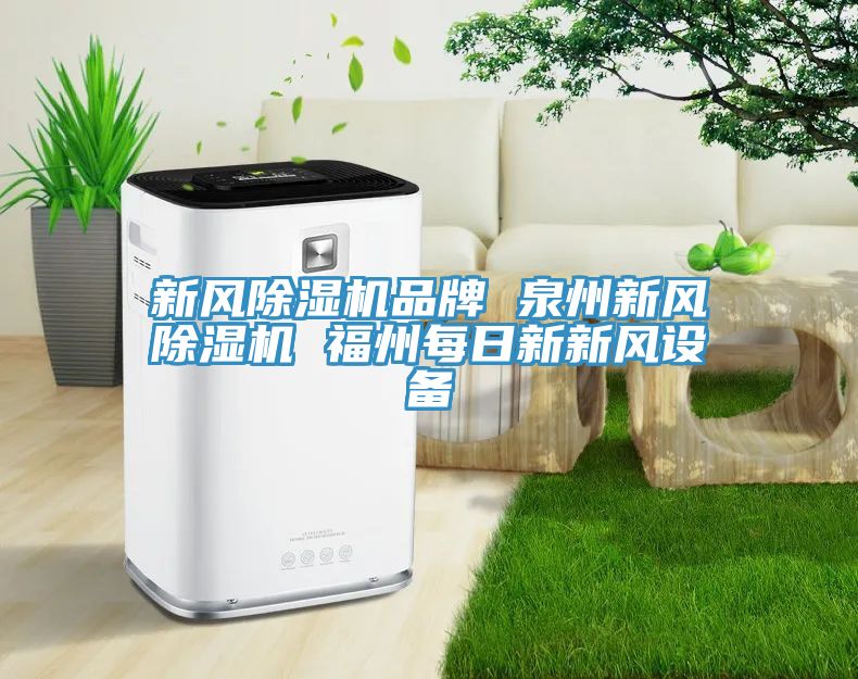 新風小黄片软件免费下载品牌 泉州新風小黄片软件免费下载 福州每日新新風設備