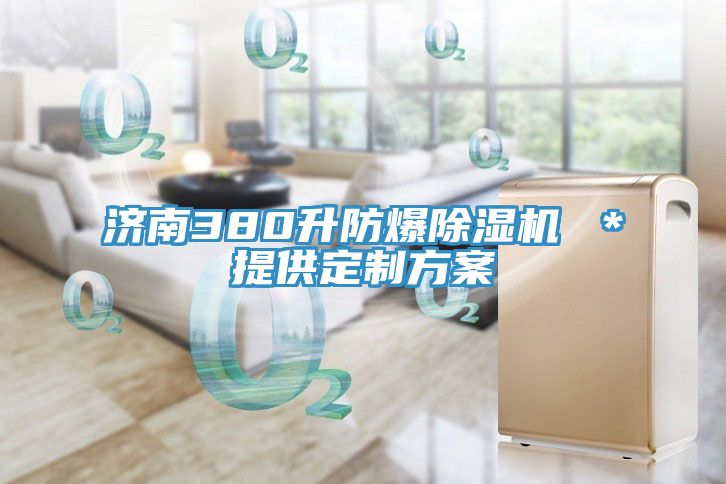 濟南380升防爆小黄片软件免费下载 ＊提供定製方案