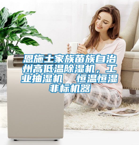 恩施土家族苗族自治州高低溫小黄片软件免费下载，工業抽濕機  恒溫恒濕非標機器