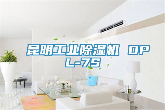 昆明工業小黄片软件免费下载 DPL-7S