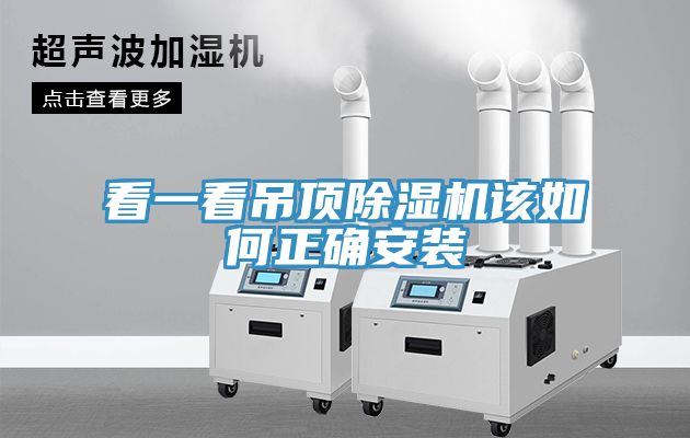 看一看吊頂小黄片软件免费下载該如何正確安裝
