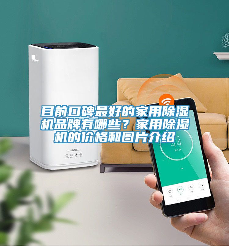 目前口碑最好的家用小黄片软件免费下载品牌有哪些？家用小黄片软件免费下载的價格和圖片介紹