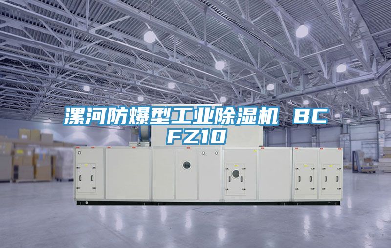 漯河防爆型工業小黄片软件免费下载 BCFZ10