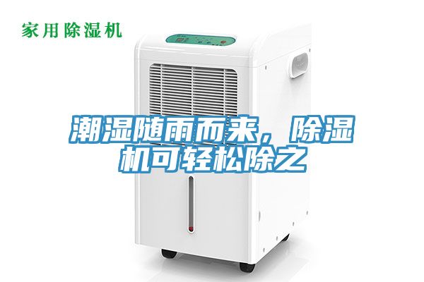 潮濕隨雨而來，小黄片软件免费下载可輕鬆除之