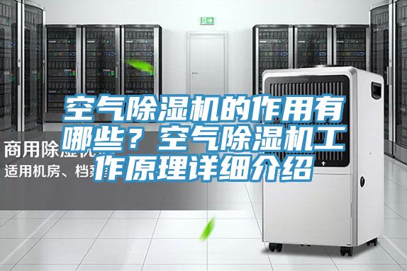 空氣小黄片软件免费下载的作用有哪些？空氣小黄片软件免费下载工作原理詳細介紹