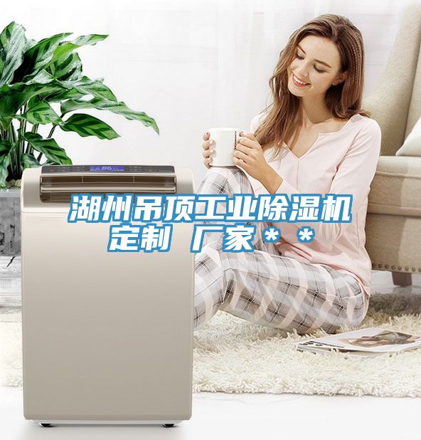 湖州吊頂工業小黄片软件免费下载定製 廠家＊＊