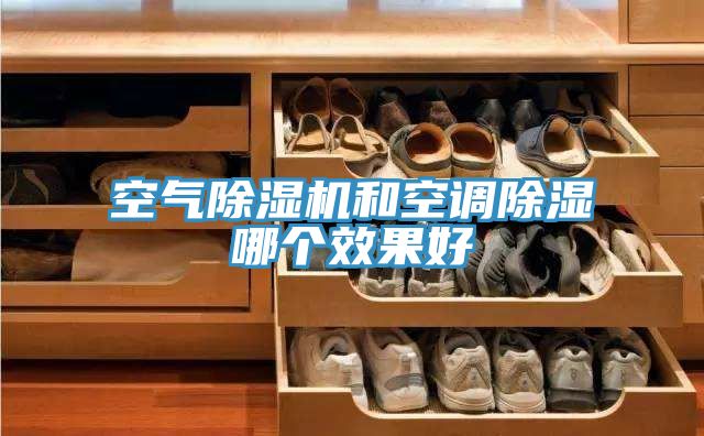 空氣小黄片软件免费下载和空調除濕哪個效果好