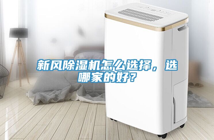 新風小黄片软件免费下载怎麽選擇，選哪家的好？