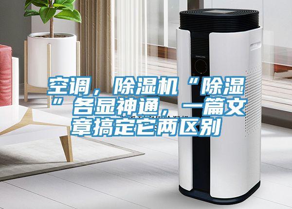 空調，小黄片软件免费下载“除濕”各顯神通，一篇文章搞定它兩區別