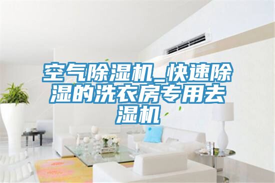 空氣小黄片软件免费下载_快速除濕的洗衣房專用去濕機
