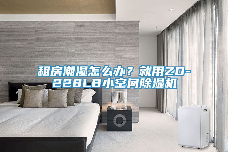 租房潮濕怎麽辦？就用ZD-228LB小空間小黄片软件免费下载
