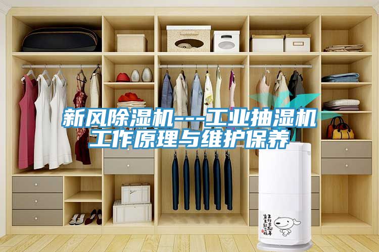 新風小黄片软件免费下载---工業抽濕機工作原理與維護保養