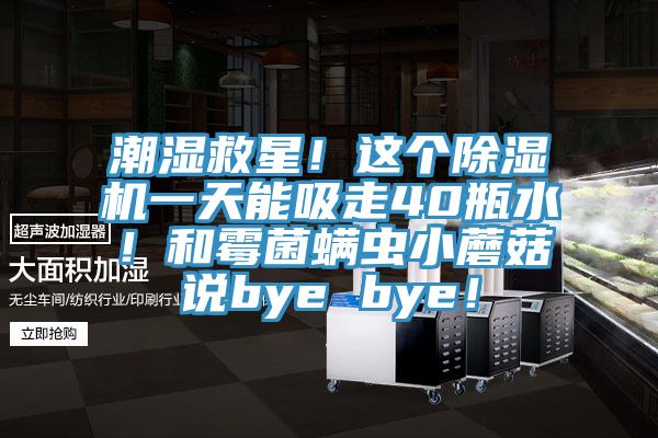 潮濕救星！這個小黄片软件免费下载一天能吸走40瓶水！和黴菌蟎蟲小蘑菇說bye bye！