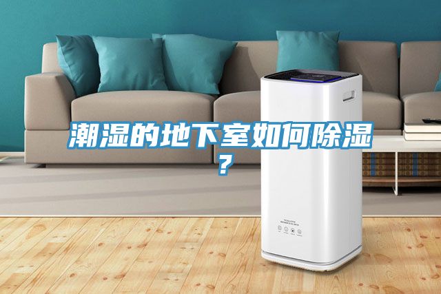 潮濕的地下室如何除濕？