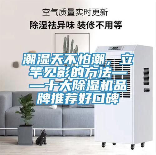 潮濕天不怕潮，立竿見影的方法——十大小黄片软件免费下载品牌推薦好口碑