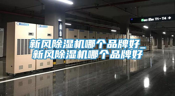 新風小黄片软件免费下载哪個品牌好_新風小黄片软件免费下载哪個品牌好