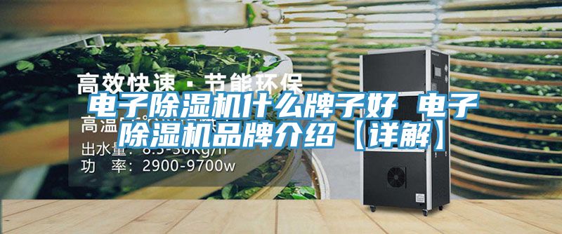 電子小黄片软件免费下载什麽牌子好 電子小黄片软件免费下载品牌介紹【詳解】