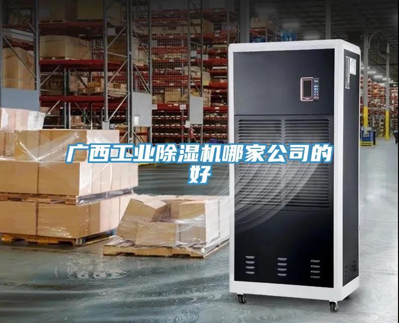 廣西工業小黄片软件免费下载哪家公司的好