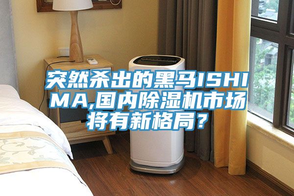 突然殺出的黑馬ISHIMA,國內小黄片软件免费下载市場將有新格局？