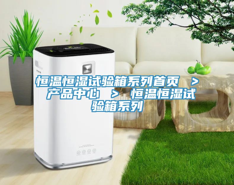 恒溫恒濕試驗箱係列首頁 ＞ 小黄片直播APP ＞ 恒溫恒濕試驗箱係列