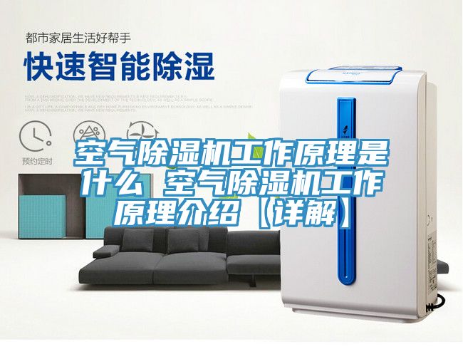 空氣小黄片软件免费下载工作原理是什麽 空氣小黄片软件免费下载工作原理介紹【詳解】